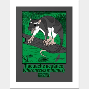 Tlacuache acuatico Posters and Art